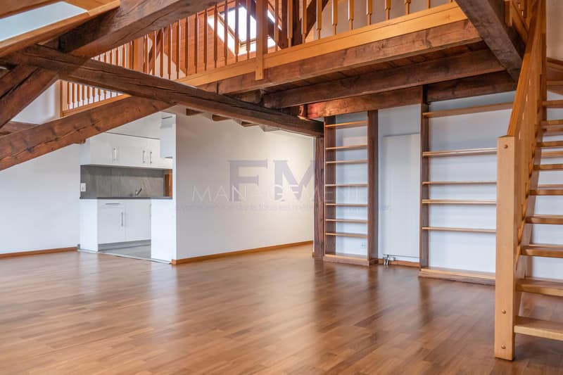 Stadtzentrum - Wohnung - Boulevard Helvétique - 3.5 Zimmer im 5. Stock (3)