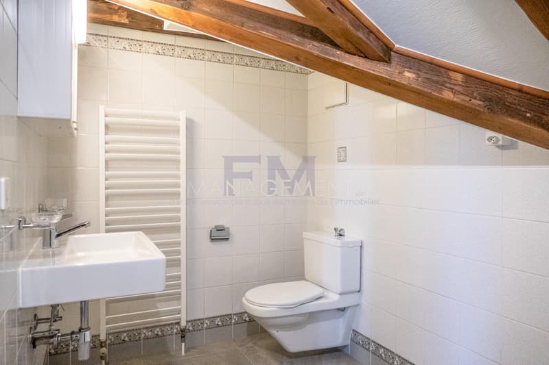Stadtzentrum - Wohnung - Boulevard Helvétique - 3.5 Zimmer im 5. Stock (10)