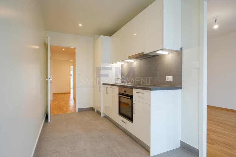Servette, Avenue de Luserna, 4 rooms on the 5th floor, approx. 95m2 (1)