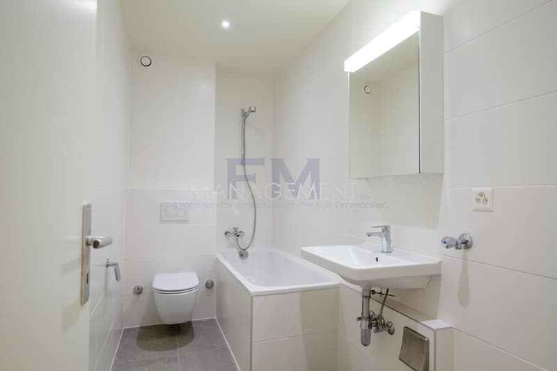 Servette, Avenue de Luserna, 4 rooms on the 5th floor, approx. 95m2 (6)