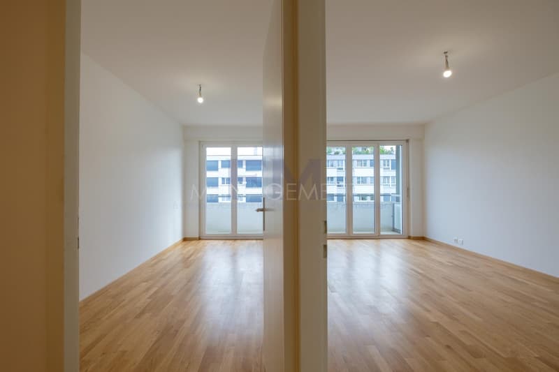 Servette, Avenue de Luserna, 4 rooms on the 5th floor, approx. 95m2 (4)