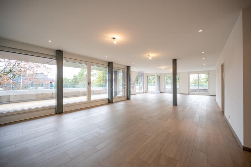 Blühend - Malagnou - Ch. de la Florence 7 Stück, im 5. Stock, ca. 285m2 + Terrasse (9)