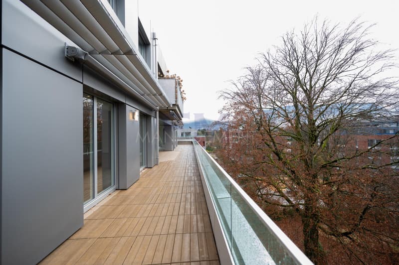 Blühend - Malagnou - Ch. de la Florence 7 Stück, im 5. Stock, ca. 285m2 + Terrasse (8)