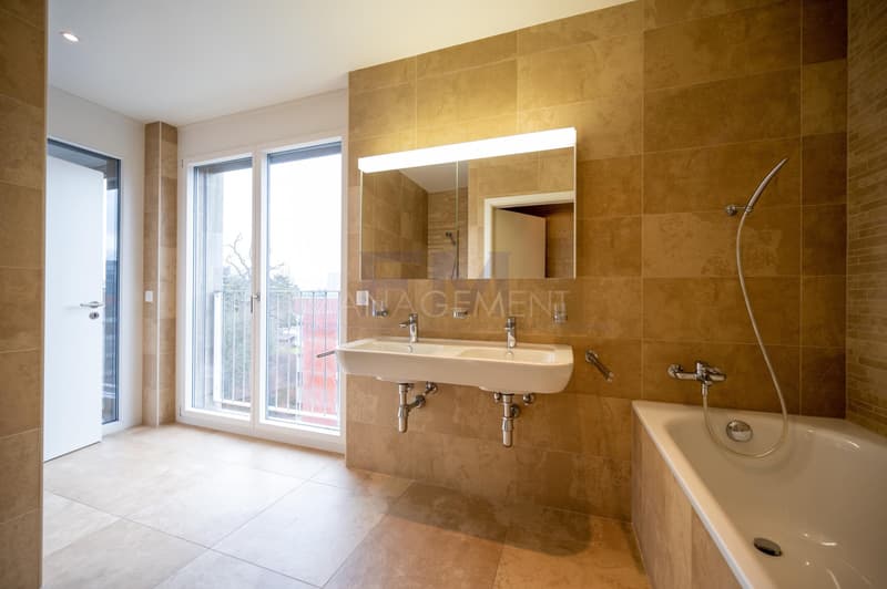 Blühend - Malagnou - Ch. de la Florence 7 Stück, im 5. Stock, ca. 285m2 + Terrasse (6)