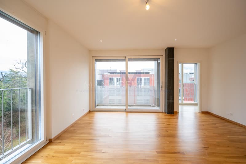 Blühend - Malagnou - Ch. de la Florence 7 Stück, im 5. Stock, ca. 285m2 + Terrasse (3)