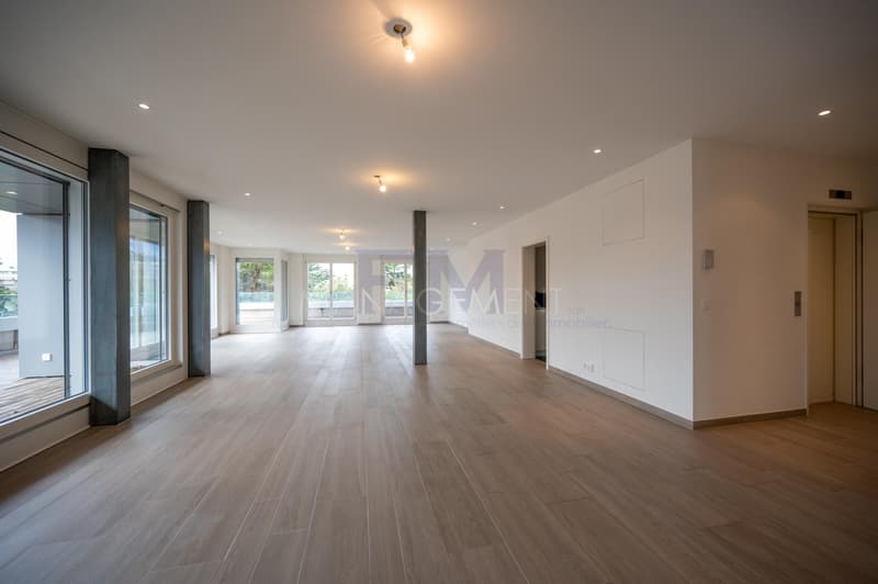 Blühend - Malagnou - Ch. de la Florence 7 Stück, im 5. Stock, ca. 285m2 + Terrasse (5)