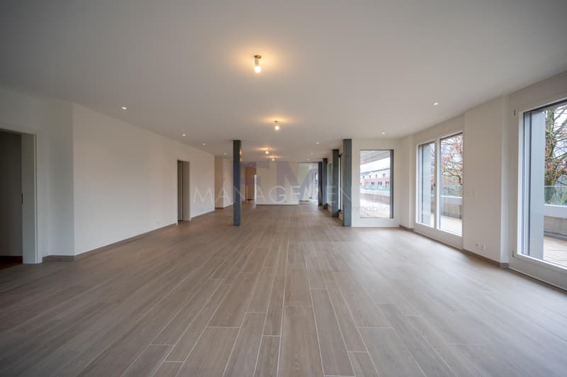 Blühend - Malagnou - Ch. de la Florence 7 Stück, im 5. Stock, ca. 285m2 + Terrasse (2)