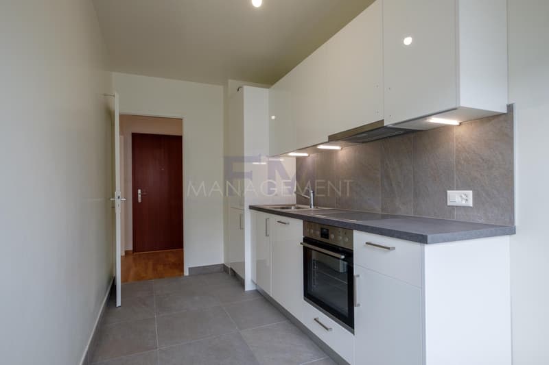 Servette, Avenue de Luserna, 4 pezzi al 3° piano, di ca. 65m2 (4)