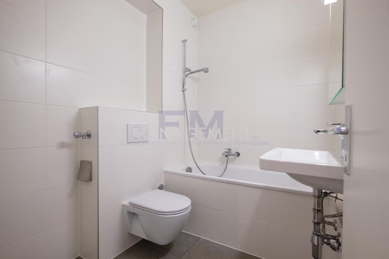 Servette, Avenue de Luserna, 4 pezzi al 3° piano, di ca. 65m2 (6)