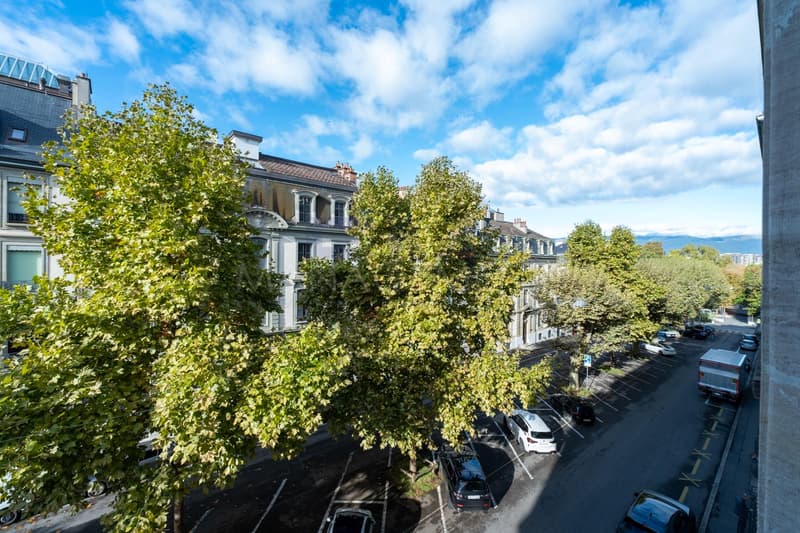 Rue Jean-Gabriel Eynard - 3,5 locali di ca. 76 m² al 2° piano (13)
