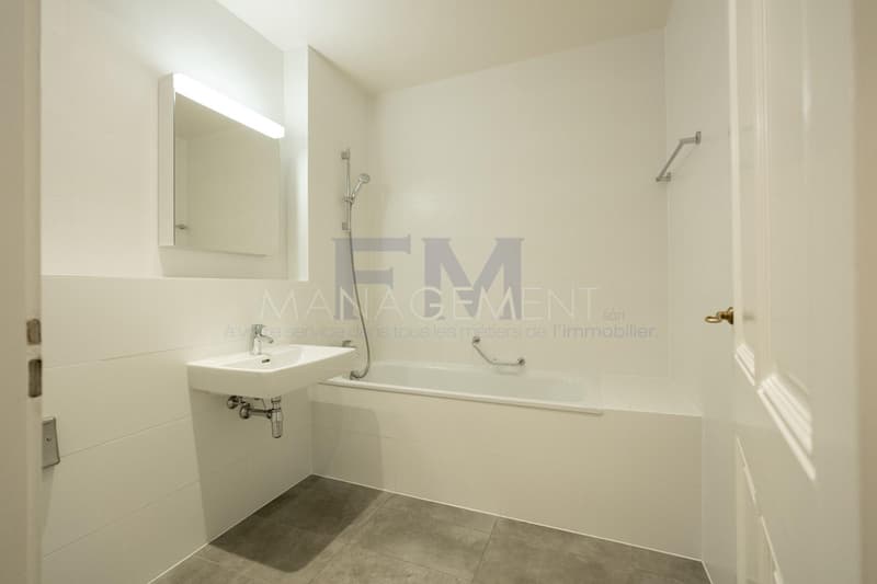Rue Jean-Gabriel Eynard - 3,5 locali di ca. 76 m² al 2° piano (10)