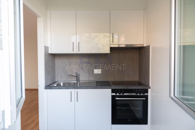 Chêne-Bourg, Av. Petit Senn, 1,5 Zimmer im 1. Stock (2)