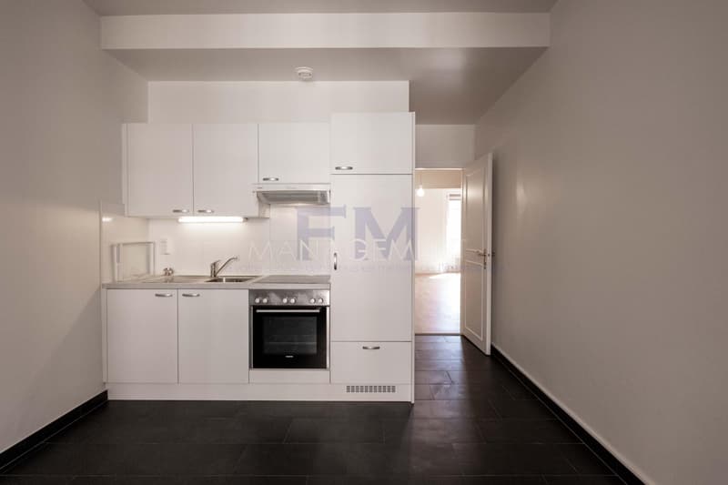 Plainpalais, Rue Henri-Christine, 4 Zimmer im 3. Stock, ca. 100 m2 (11)