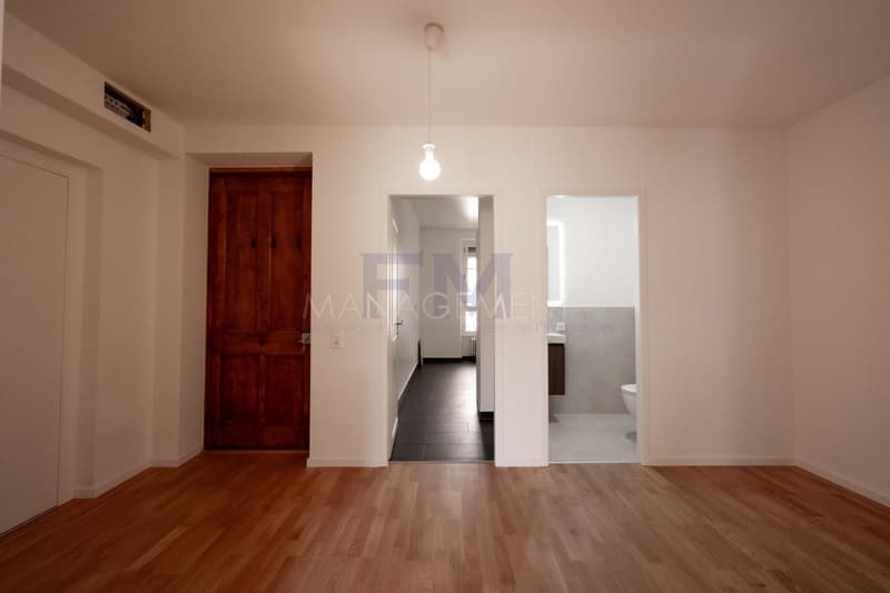Plainpalais, Rue Henri-Christine, 4 Zimmer im 3. Stock, ca. 100 m2 (6)