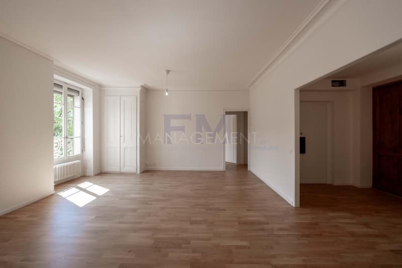 Plainpalais, Rue Henri-Christine, 4 Zimmer im 3. Stock, ca. 100 m2 (2)