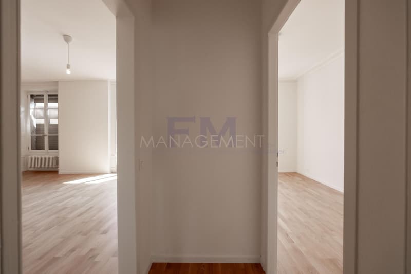 Plainpalais, Rue Henri-Christine, 4 Zimmer im 3. Stock, ca. 100 m2 (7)