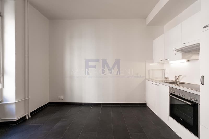 Plainpalais, Rue Henri-Christine, 4 Zimmer im 3. Stock, ca. 100 m2 (10)