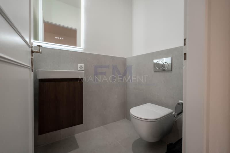 Plainpalais, Rue Henri-Christine, 4 Zimmer im 3. Stock, ca. 100 m2 (12)