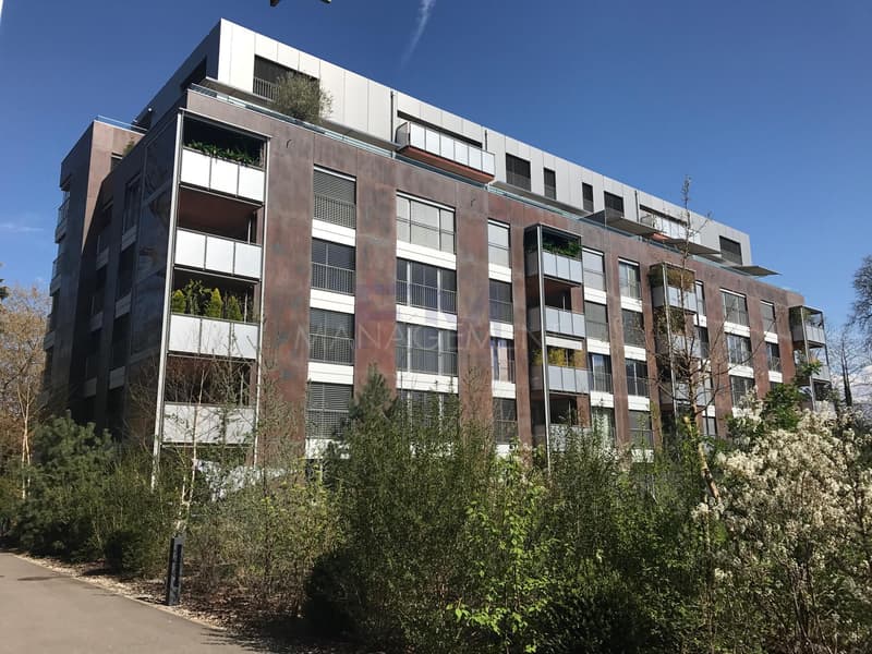Florissant/Malagnou Chemin du Velours, 5 pièces au 6ème étage, env 210m2 + terrasses et loggia (12)