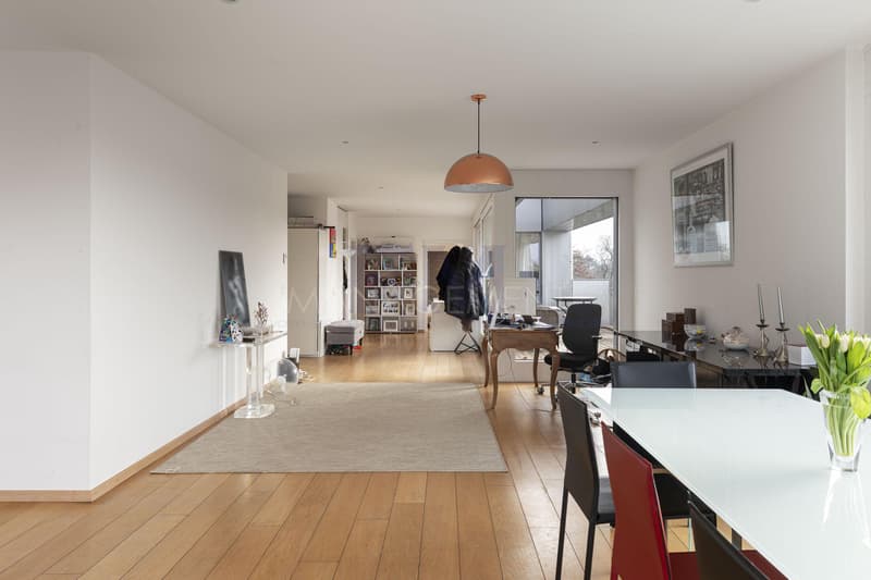 Florissant/Malagnou Chemin du Velours, 5 pièces au 6ème étage, env 210m2 + terrasses et loggia (3)