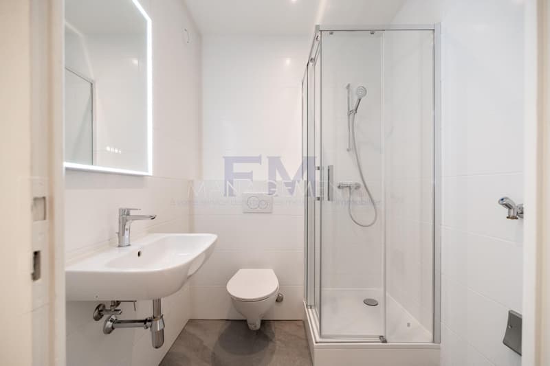 Rue des Lilas - 4 pièces d'env. 64 m² au 4ème étage (8)
