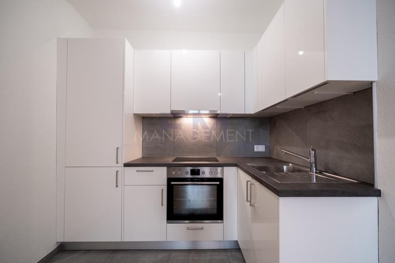 Carouge - Rue des Caroubiers - Appartement 2 pièces d'environ 47m2 au rez-de-chaussée (9)