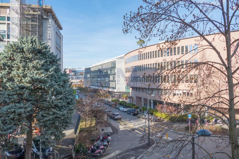 Carouge - Rue des Caroubiers - Appartement 2 pièces d'environ 47m2 au rez-de-chaussée (13)