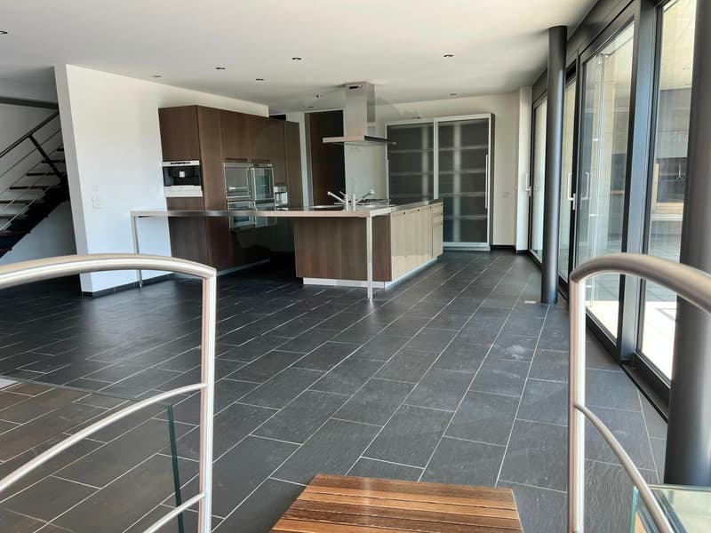 Magnifica casa di architettura di 300m2 su un terreno di 2'333m2 (4)