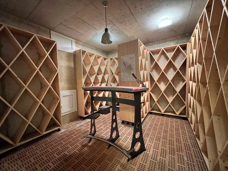 Magnifica casa di architettura di 300m2 su un terreno di 2'333m2 (7)