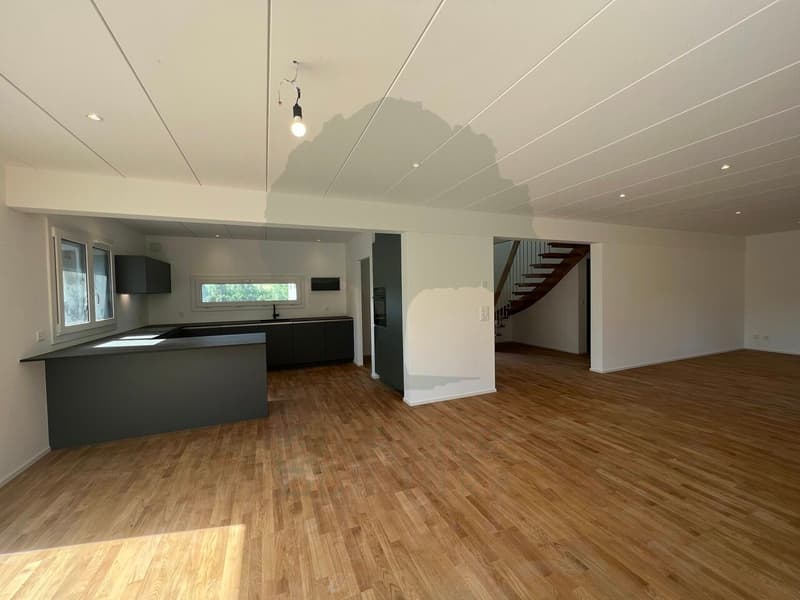 Beautiful Minergie P family home of 200m2 in Porrentruy (2)
