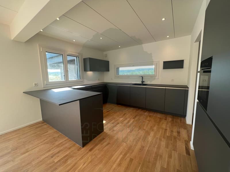Beautiful Minergie P family home of 200m2 in Porrentruy (3)