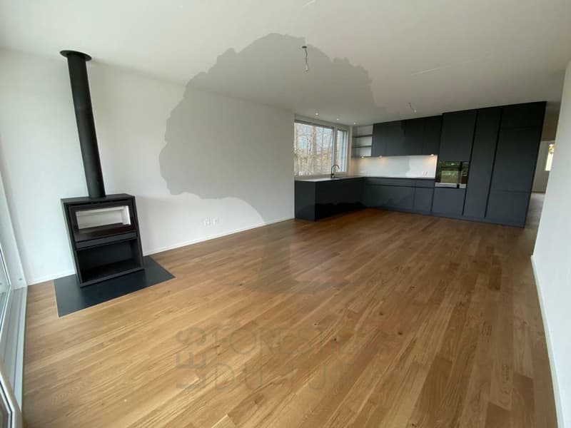 Bella casa di architetto di 4,5 locali a piano terra (5)