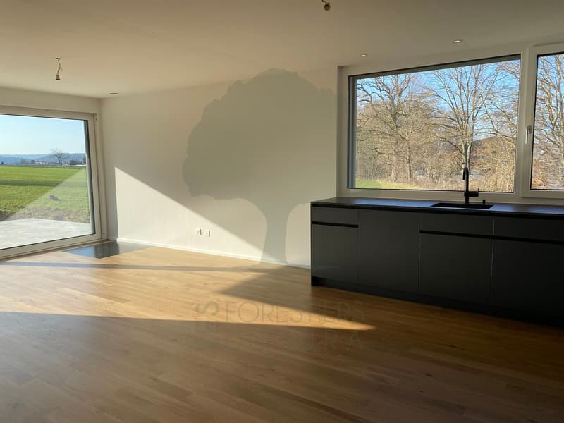 Bella casa di architetto di 4,5 locali a piano terra (6)