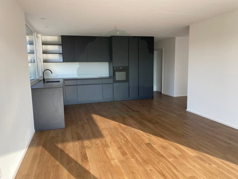 Bella casa di architetto di 4,5 locali a piano terra (3)