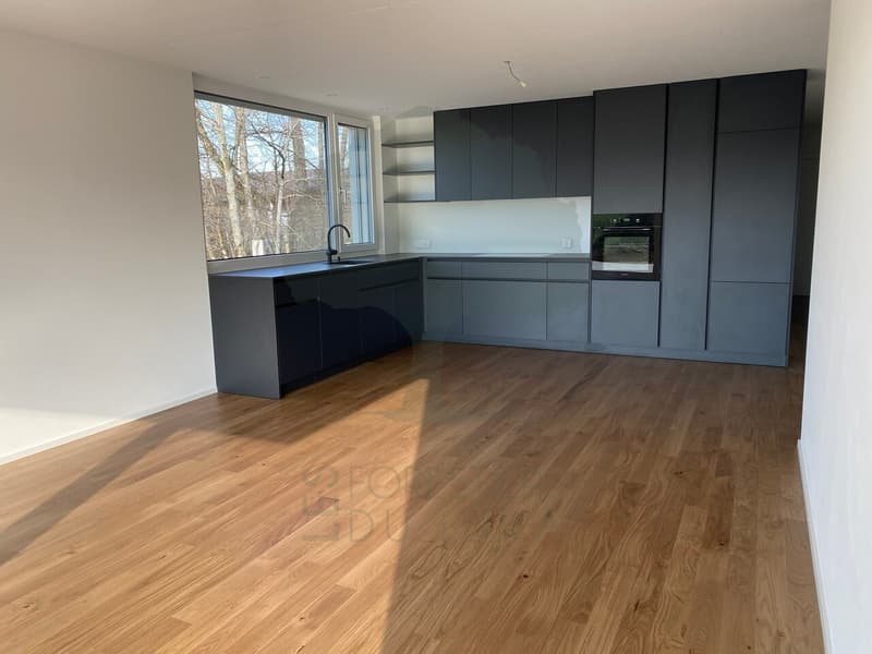 Bella casa di architetto di 4,5 locali a piano terra (4)