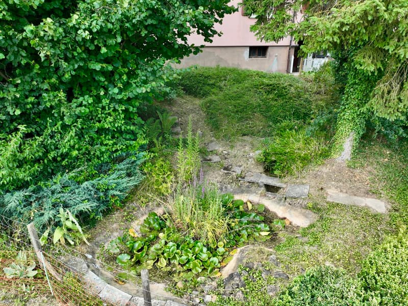 Villa con giardino da sogno a Montignez (5)