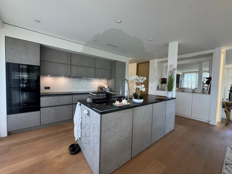 Superba appartamento di 5.5 locali con 170 m² e terrazza di 62 m² (13)