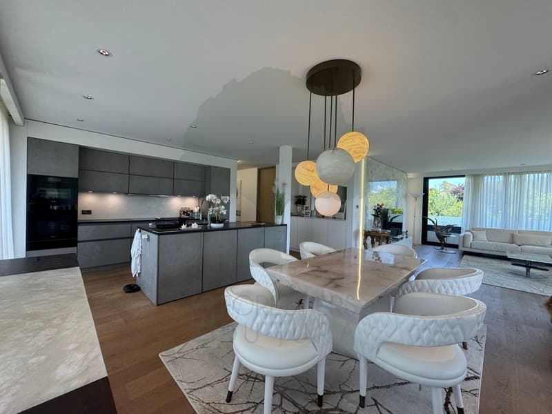 Superba appartamento di 5.5 locali con 170 m² e terrazza di 62 m² (12)