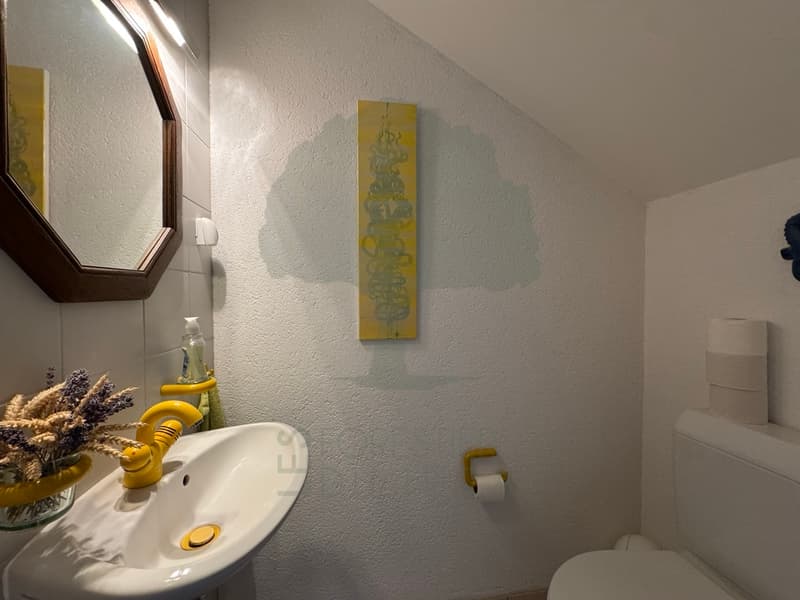 Maison de 4,5 pièces mitoyenne avec vue - Bressaucourt (5)