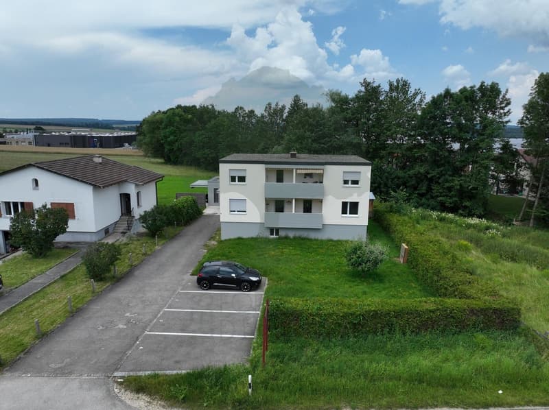 Building with 3 apartments and land in Courgenay (2)