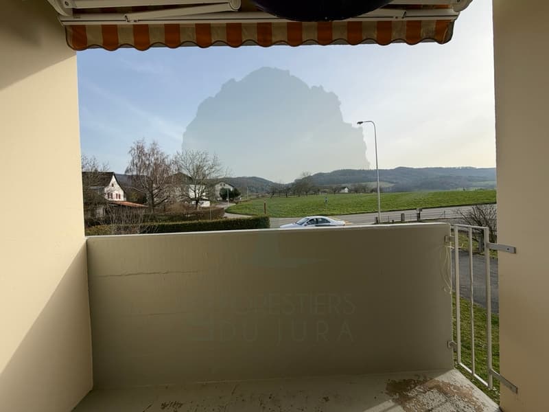 Building with 3 apartments and land in Courgenay (9)