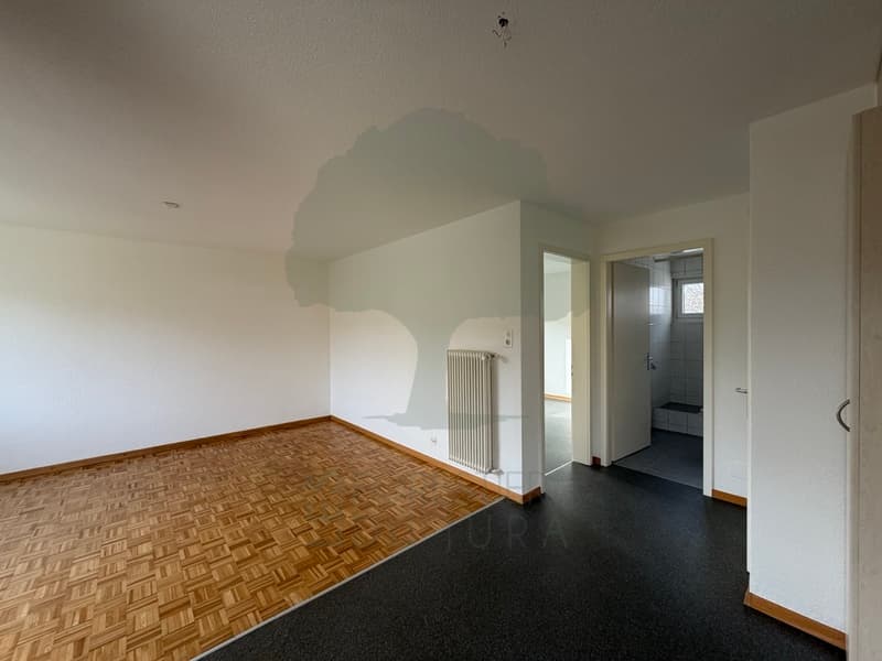 Appartement 2.5 pièces