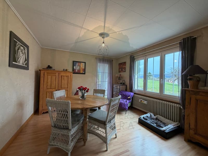 Beautiful family home of 146 m² on a plot of 818m2 in Alle (9)