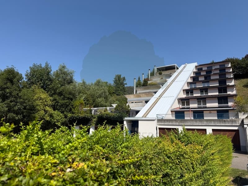Magnifique appartement rénové de 5,5 pièces avec terrasse et vue (1)