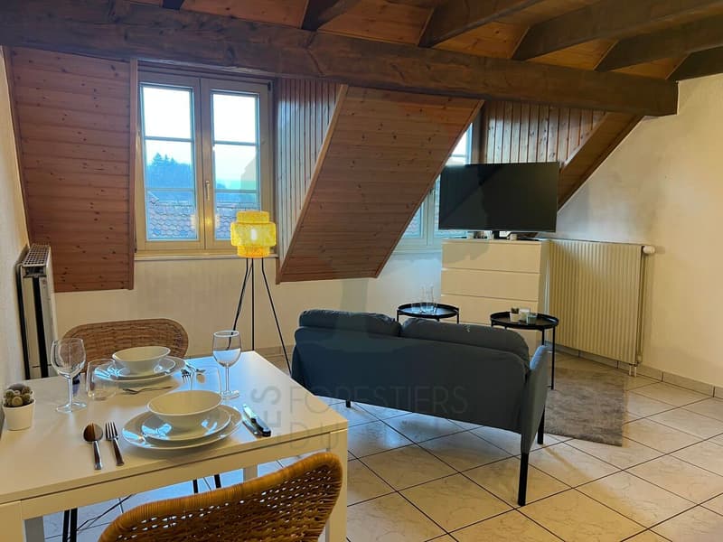 Charmant appartement avec mezzanine en vieille ville de Porrentruy (3)