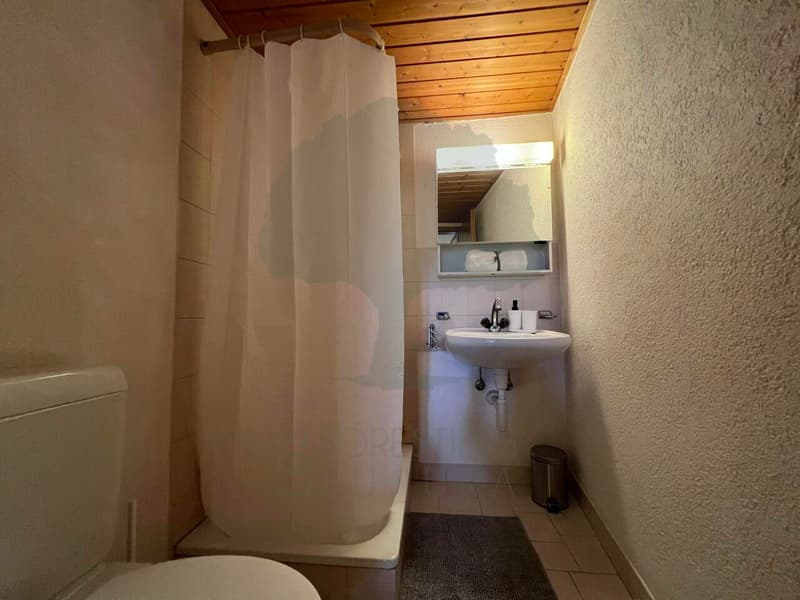 Charmant appartement avec mezzanine en vieille ville de Porrentruy (9)