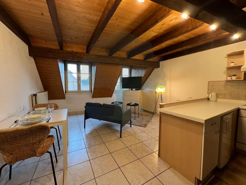 Charmant appartement avec mezzanine en vieille ville de Porrentruy (1)