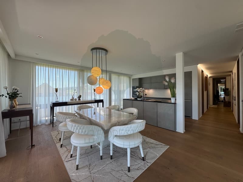Superbe appartement 5.5 pièces de 170 m² avec terrasse de 62 m² (9)