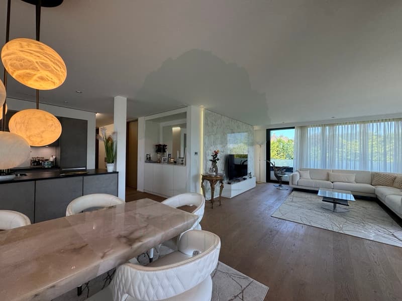 Superbe appartement 5.5 pièces de 170 m² avec terrasse de 62 m² (10)