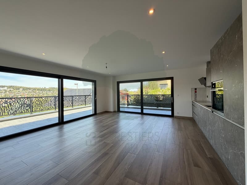 Magnifique appartement de standing de 4,5 pièces avec terrasse, jardin (5)
